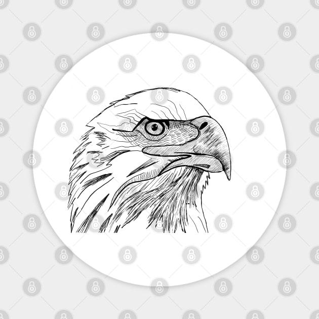 Eagle, symbol of freedom and power Magnet by DMcK Designs